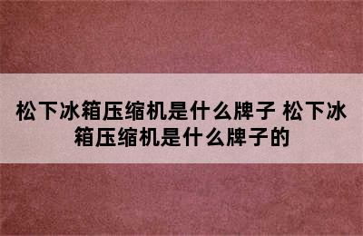 松下冰箱压缩机是什么牌子 松下冰箱压缩机是什么牌子的